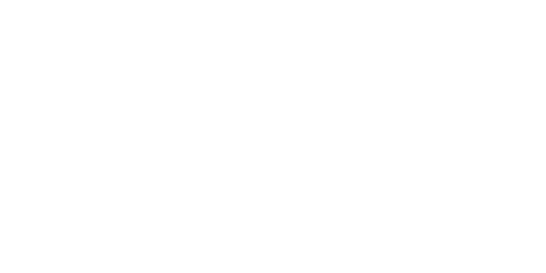 Logo A&E