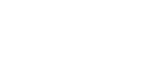 Logo TDK