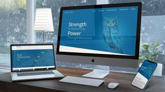 LL_Portfolio BlueOwl